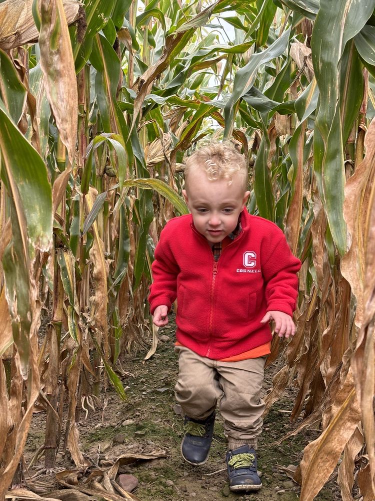 THE PUMPKIN STAND 10 Photos 7844 NY414, Ovid, New York Pumpkin