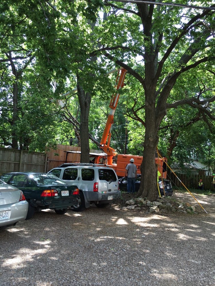 ASPLUNDH TREE EXPERT CO Updated June 2024 10575 Widmer Rd, Lenexa