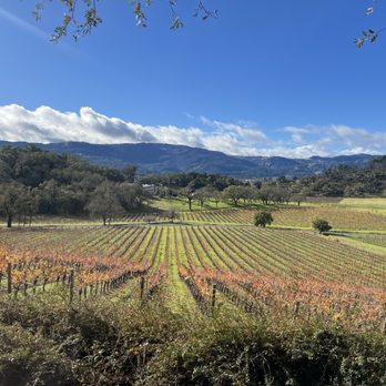Joseph Phelps Vineyards - View - Wineries Near Me - Saint Helena, California Joseph Phelps Vineyards - View - Wineries Near Me - Saint Helena, California