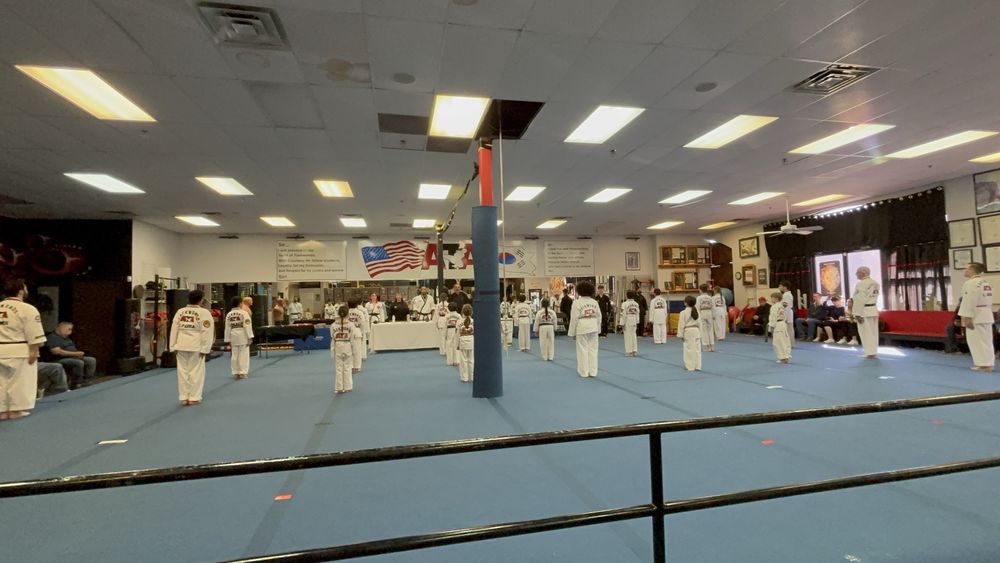 Team Matthews ATA Black Belt Academy Logo