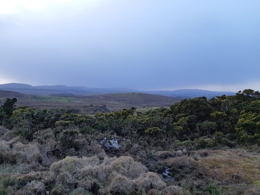 Diamond Hill by null