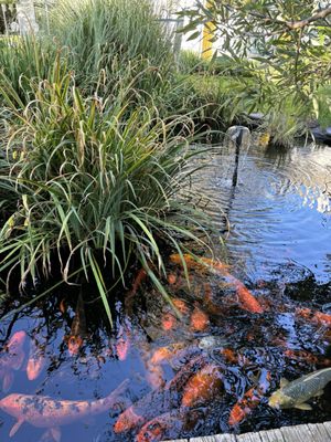 Lithia Springs Resort - Oregon's Mineral Waters Retreat by null