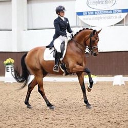 Prestige Equestrian - Sara Gallop competing Summerhouse Zelham