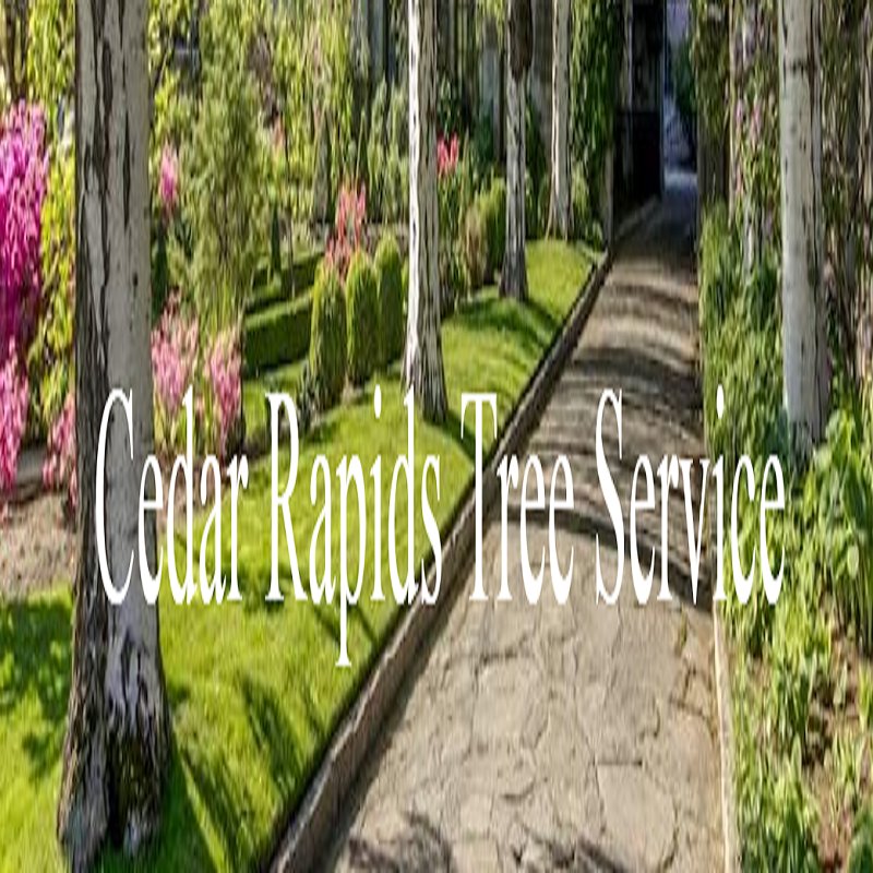 Cedar Rapids Tree Service - tree service in Cedar Rapids, IA