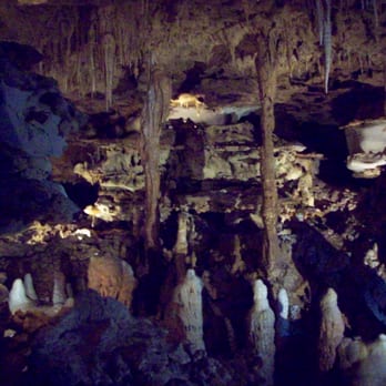 Inner Space Cavern - inner space cavern - Tours Near Me - Georgetown, Texas Inner Space Cavern - inner space cavern - Tours Near Me - Georgetown, Texas