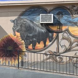 Cusack Meats - Entrance mural