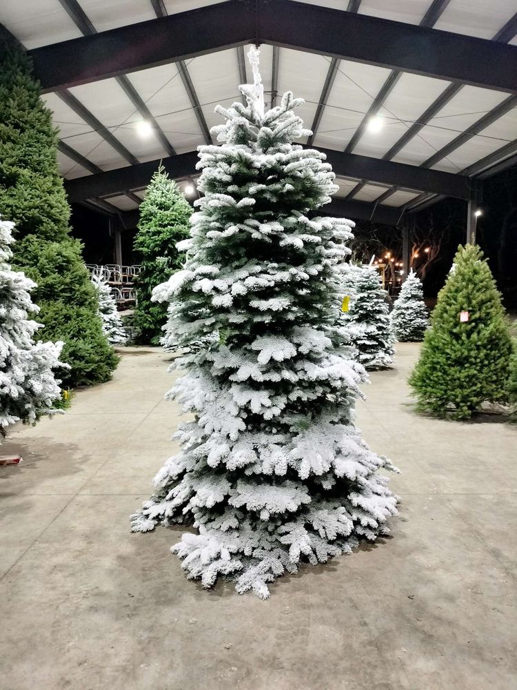 CARDINALE & WRIGHT Updated September 2024 16 Photos & 10 Reviews