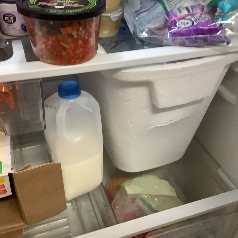 RealJoy Vacations - Cooler in our frig..( they brought ice) lol. Can't make this up. - Vacation Rentals Near Me - Destin, Florida RealJoy Vacations - Cooler in our frig..( they brought ice) lol. Can't make this up. - Vacation Rentals Near Me - Destin, Florida