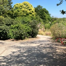 Forstbotanischer Garten und Friedenswald - Forstbotanischer Garten und Friedenswald