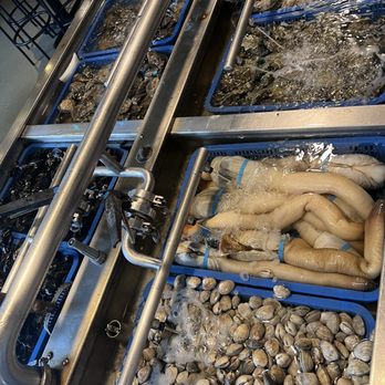 Taylor Shellfish Farms - Seafood Near Me - Seattle, Washington