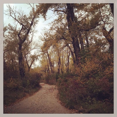 Edworthy Park by null