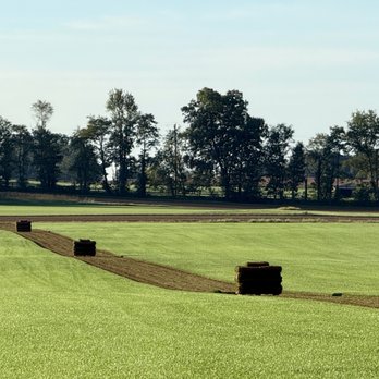 Premier Turf Farms - Fresh cut sod - Nurseries & Gardening Near Me Premier Turf Farms - Fresh cut sod - Nurseries & Gardening Near Me