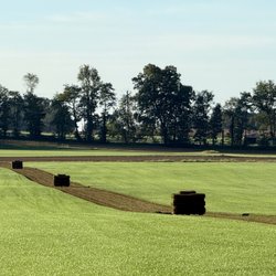 Premier Turf Farms - Fresh cut sod