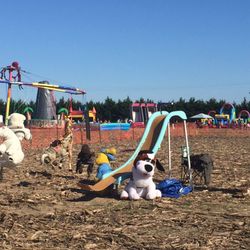 World Championship Punkin Chunkin - Cautionary tale for stuffed animals who were deprived of a few hugs