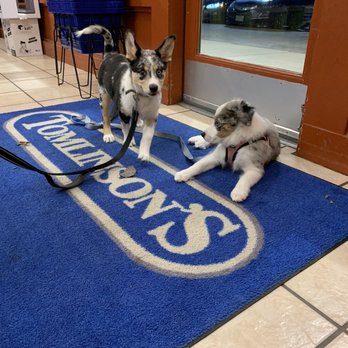 Tomlinson's Feed - Pups - Pet Stores Near Me - Austin, Texas Tomlinson's Feed - Pups - Pet Stores Near Me - Austin, Texas