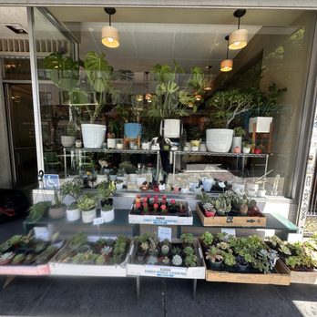 Angel's Flowers - Florists Near Me - San Francisco, California