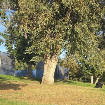 El Cariso Park - Sitting in front of the tennis courts, getting ready for Playoffs Game 2 - Parks Near Me - Sylmar, California