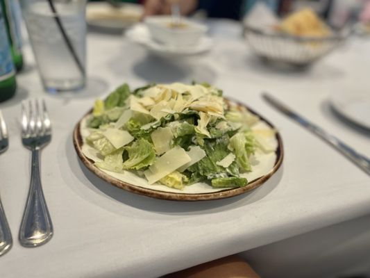 Primavera Ristorante by null