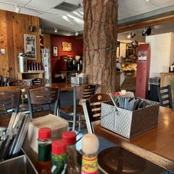Montana Coffee Traders - Tree in the middle of the shop.