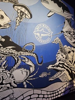 Mote Marine Laboratory & Aquarium by null