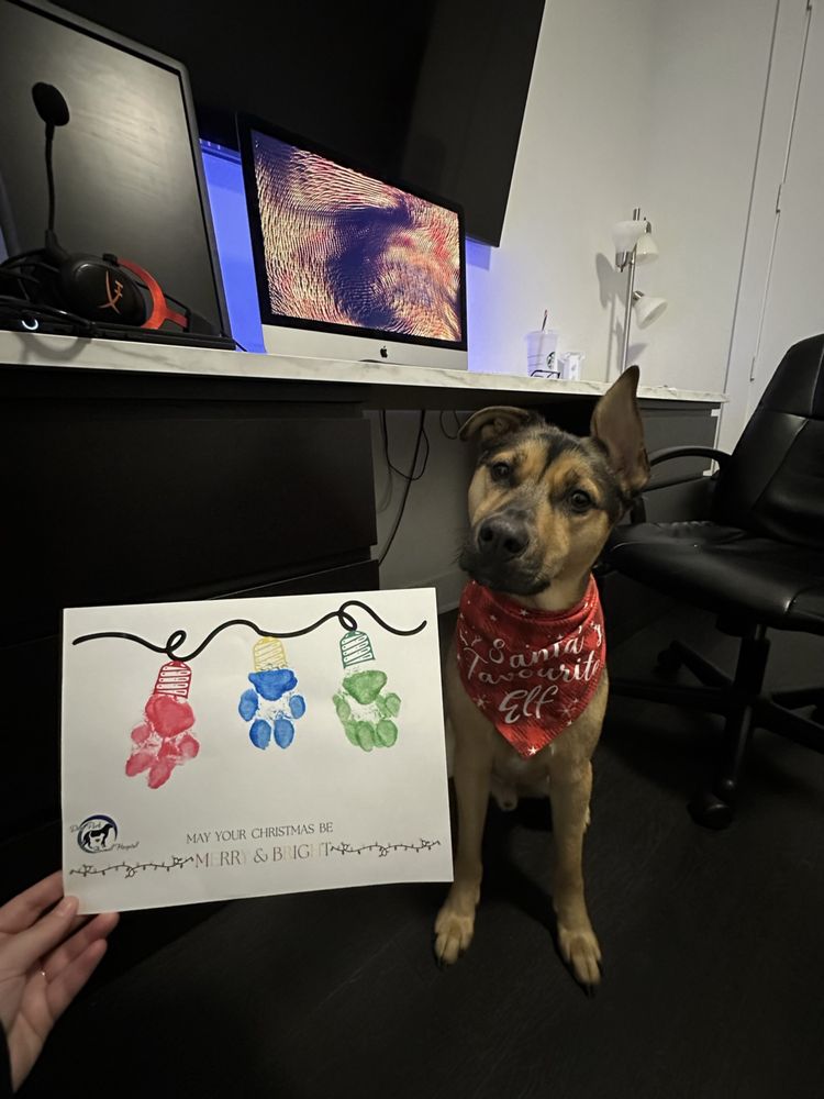 DEER PARK ANIMAL HOSPITAL Updated August 2024 17 Photos & 27