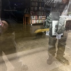 Literary Leftovers - Cat inside during close hours
