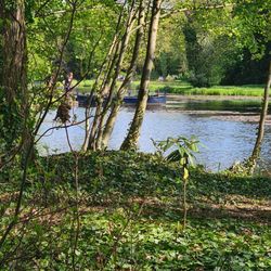 Das Dessau-Wörlitzer Gartenreich, Welterbe der Unesco