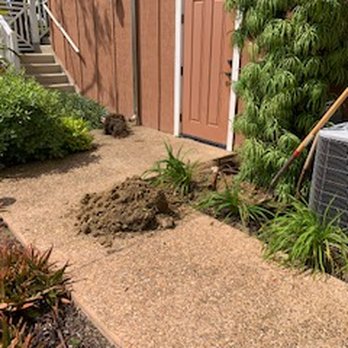 Encinitas Plumbing - Dug up and fixed our gas leak! - Plumbing Near Me - Encinitas, California