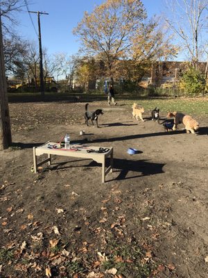 Detroit Dog Park by null