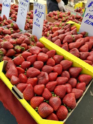 Mahany Park Farmers Market by null
