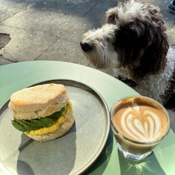 Narrative Coffee - Breakfast with Ella - Coffee & Tea Near Me - Everett, Washington
