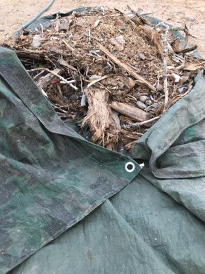 GARY’S TREE AND YARD SERVICES - Updated December 2024 - 12 Reviews