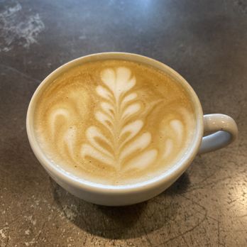 Bold Bean Coffee Roasters - Riverside - Honey Cappuccino - Coffee & Tea Near Me - Jacksonville, Florida Bold Bean Coffee Roasters - Riverside - Honey Cappuccino - Coffee & Tea Near Me - Jacksonville, Florida