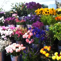 Sweet Lavender Flowers - Come in and see our lovely flower bank