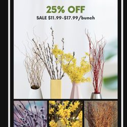 English Gardens - Spring Sale on branches for Indoors.  3/20/2025