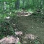 Photo of Elk Knob State Park