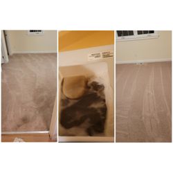 Cleanenergy Detail Cleaning - Carpet cleaning