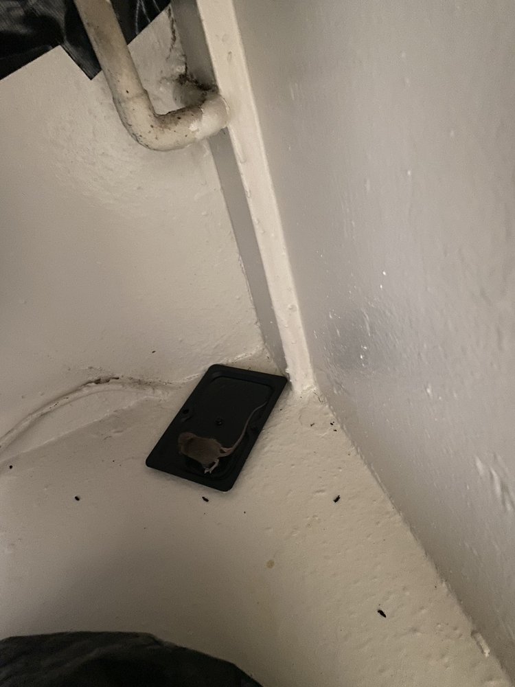 QUEENSTOWN APARTMENTS Updated October 2024 60 Photos & 14 Reviews