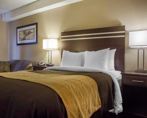 Comfort Inn Guelph by null