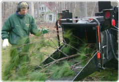 Brown's Tree Service - tree service in Raleigh, NC