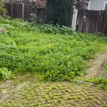 Garcia Service - Limpieza general - Landscaping Near Me