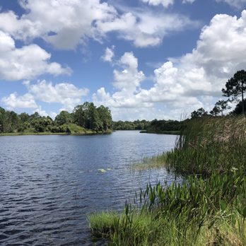 Halpatiokee Regional Park - Wetlands preserve - Hiking Near Me - Stuart, Florida