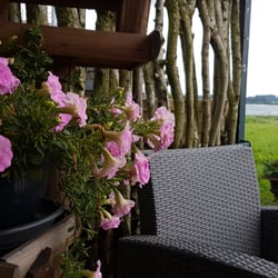 De Swaenebloem