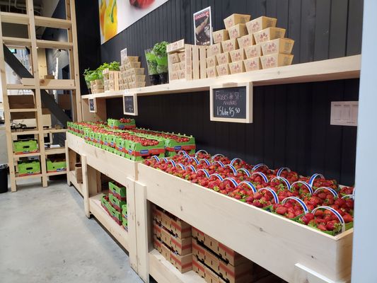 Le Grand Marché de Québec by null