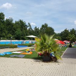 Waldfreibad Holzgerlingen