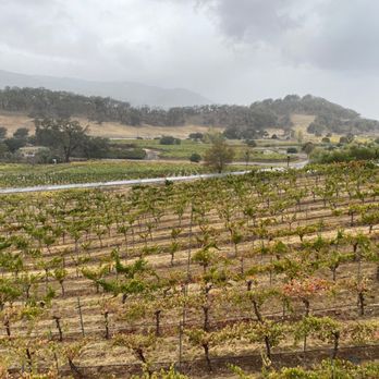 Arrowood Vineyard & Winery - a view of a vineyard - Wineries Near Me - Glen Ellen, California Arrowood Vineyard & Winery - a view of a vineyard - Wineries Near Me - Glen Ellen, California