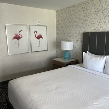 Flamingo Las Vegas - Hotels Near Me - Las Vegas, Nevada