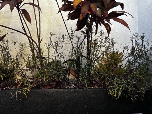 The Table Restaurant by null