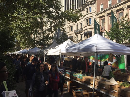 Rittenhouse Farmers' Market by null