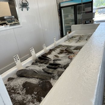 Seafood Center - a row of fish on display - Seafood Near Me - Jacksonville, North Carolina Seafood Center - a row of fish on display - Seafood Near Me - Jacksonville, North Carolina